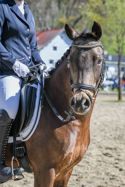 上占据了显 上占据了显