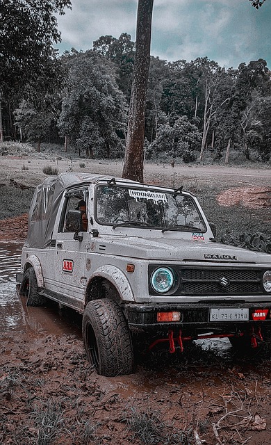 多纳鲁马的 多纳鲁马的