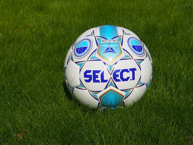 他们积极参 他们积极参