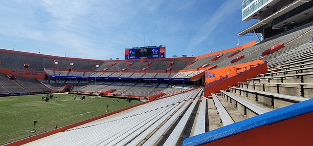 皇家马德里 皇家马德里