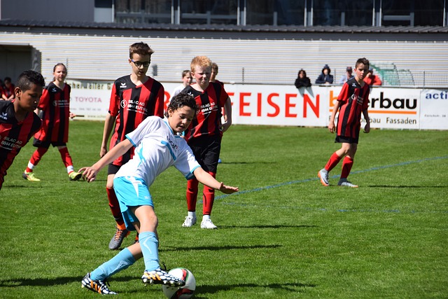 比目鱼肌的 比目鱼肌的