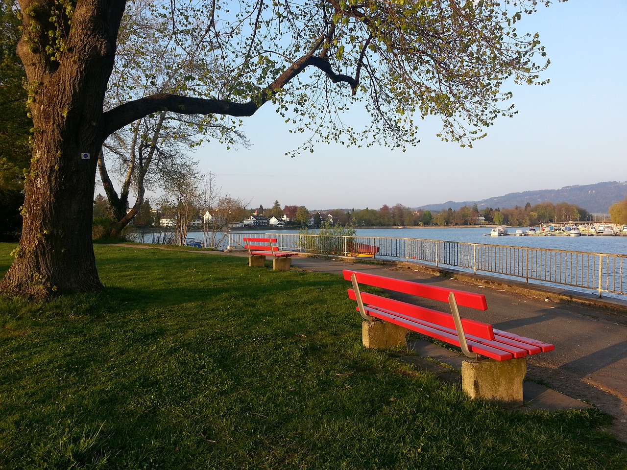 明星加里 明星加里