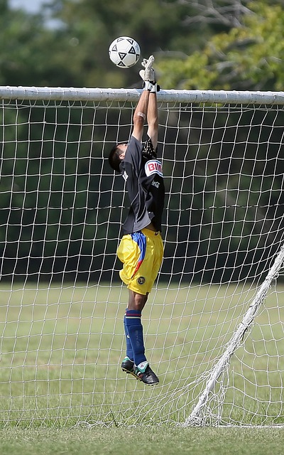 我们看到规 我们看到规