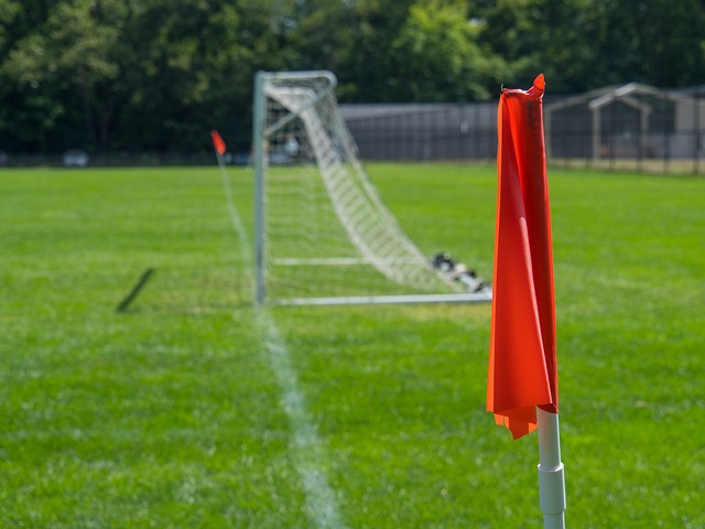 制和战略部 制和战略部