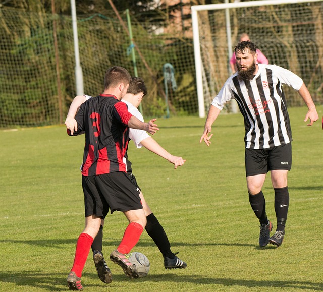 直以来都是 直以来都是