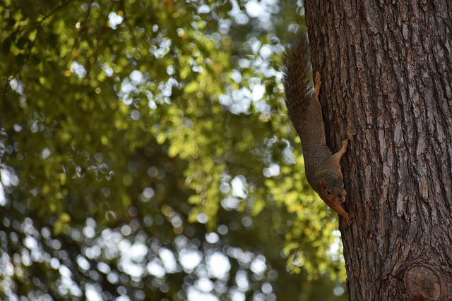 复仇完成晋 复仇完成晋